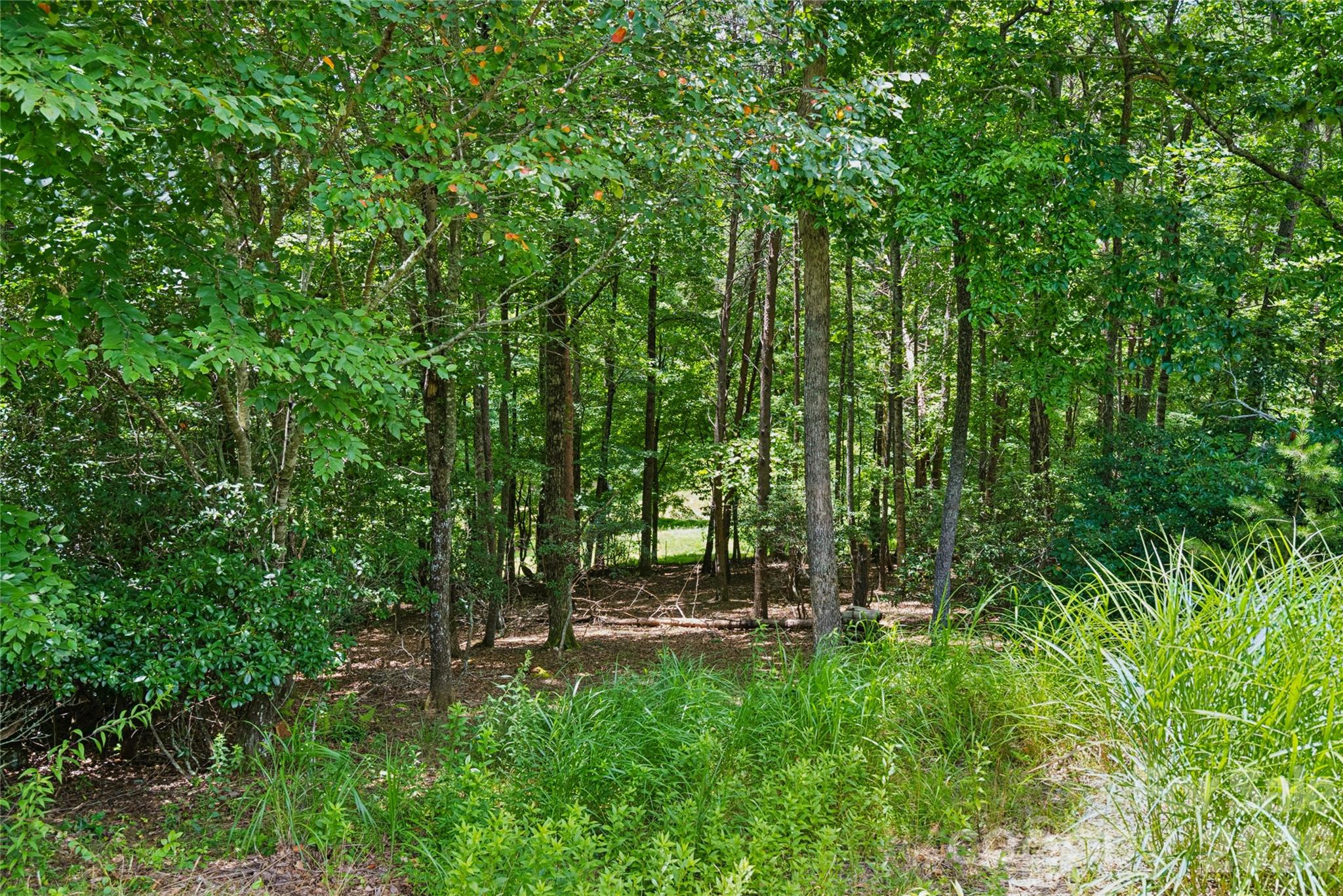 1545 Country View Way 302 Property Photo 6