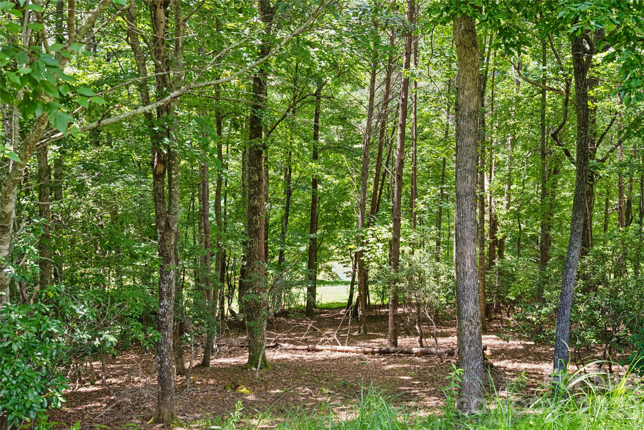 1545 Country View Way 302 Property Photo 7