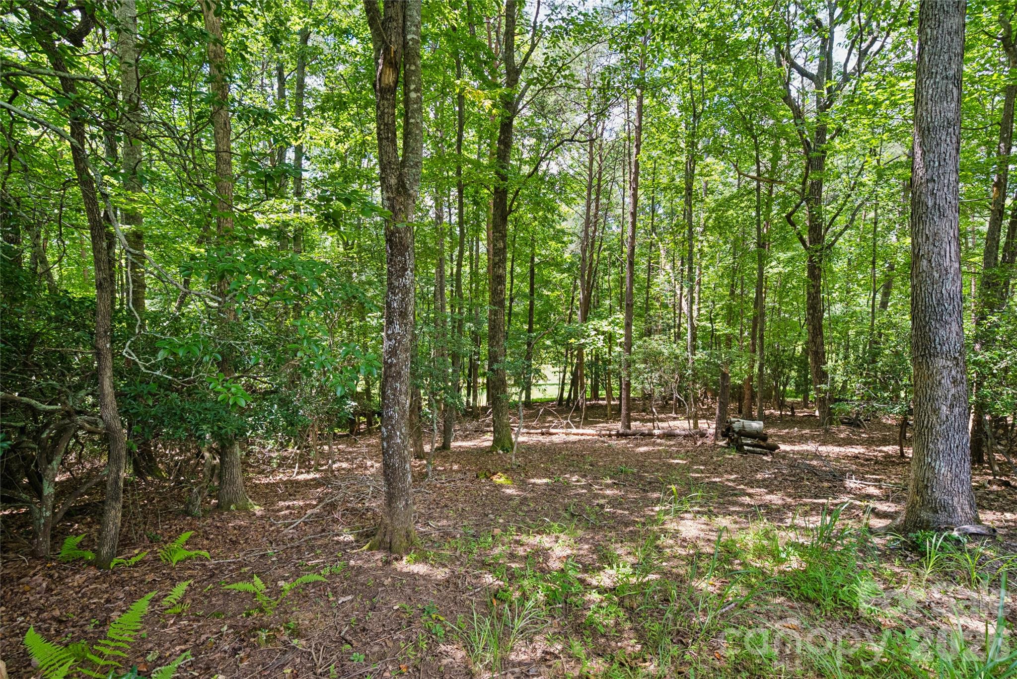 1545 Country View Way 302 Property Photo 8