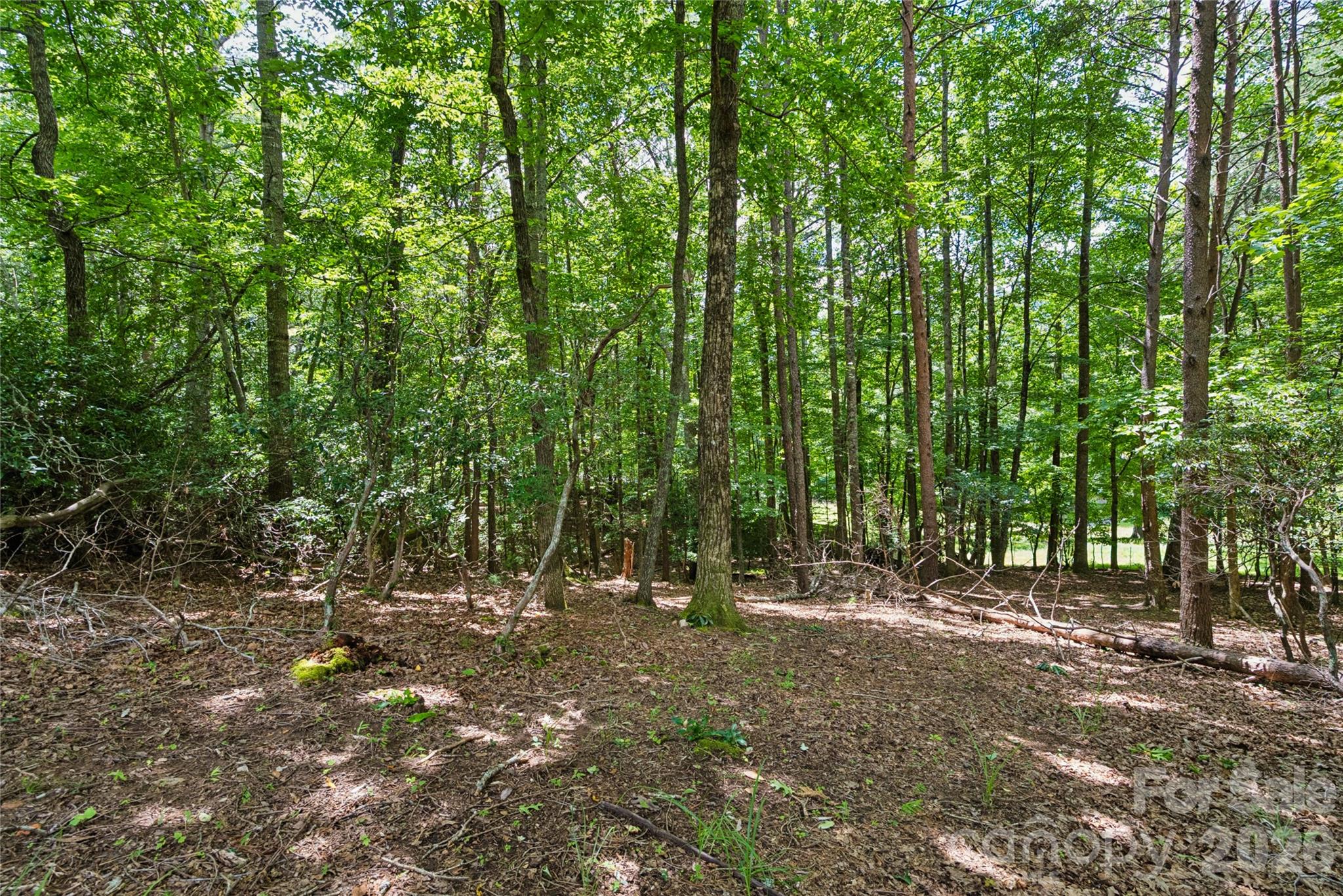 1545 Country View Way 302 Property Photo 9