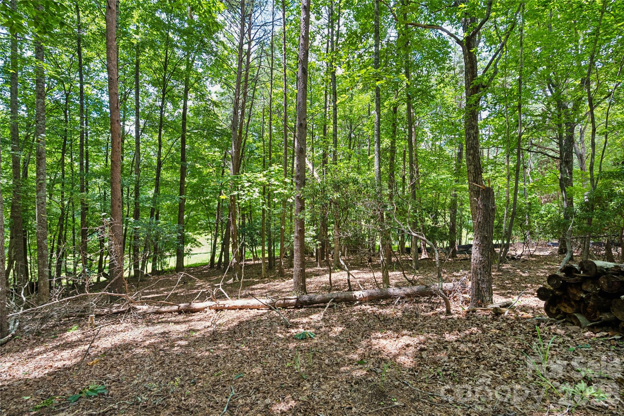 1545 Country View Way 302 Property Photo 10
