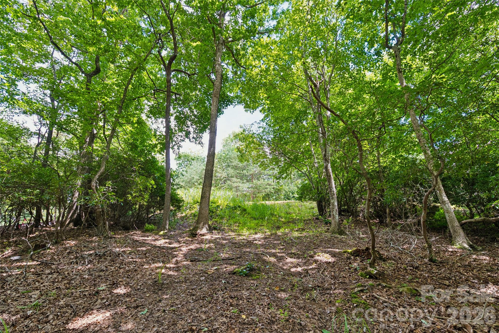 1545 Country View Way 302 Property Photo 12