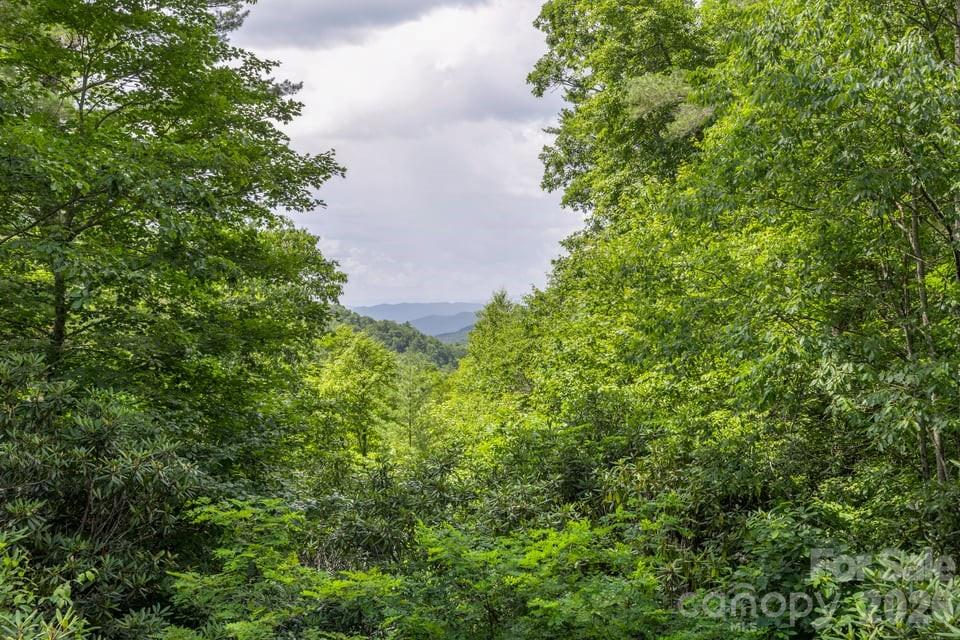 4435 Flat Mountain Road Property Photo 13