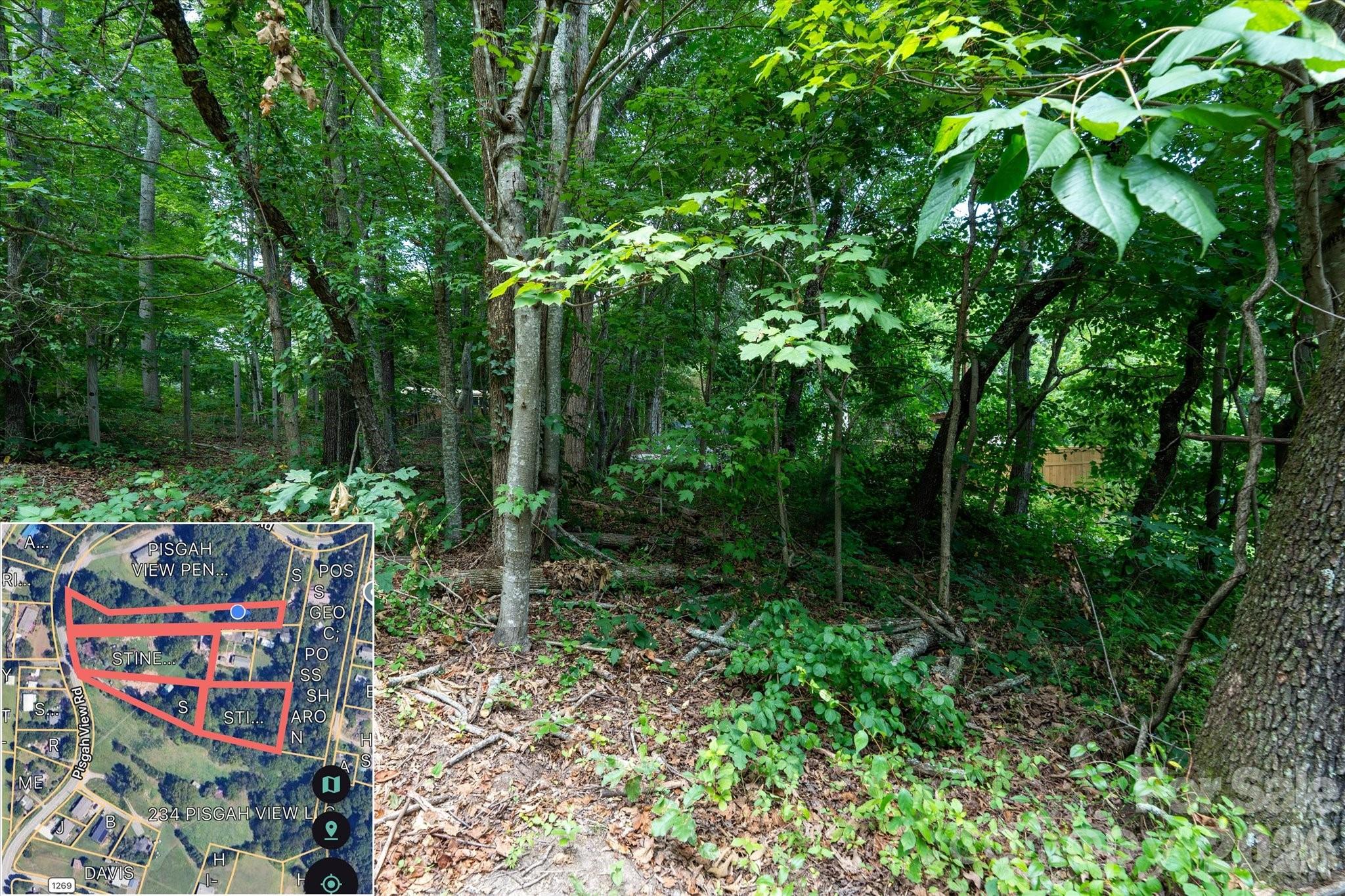 230 Pisgah View Road Property Photo 11