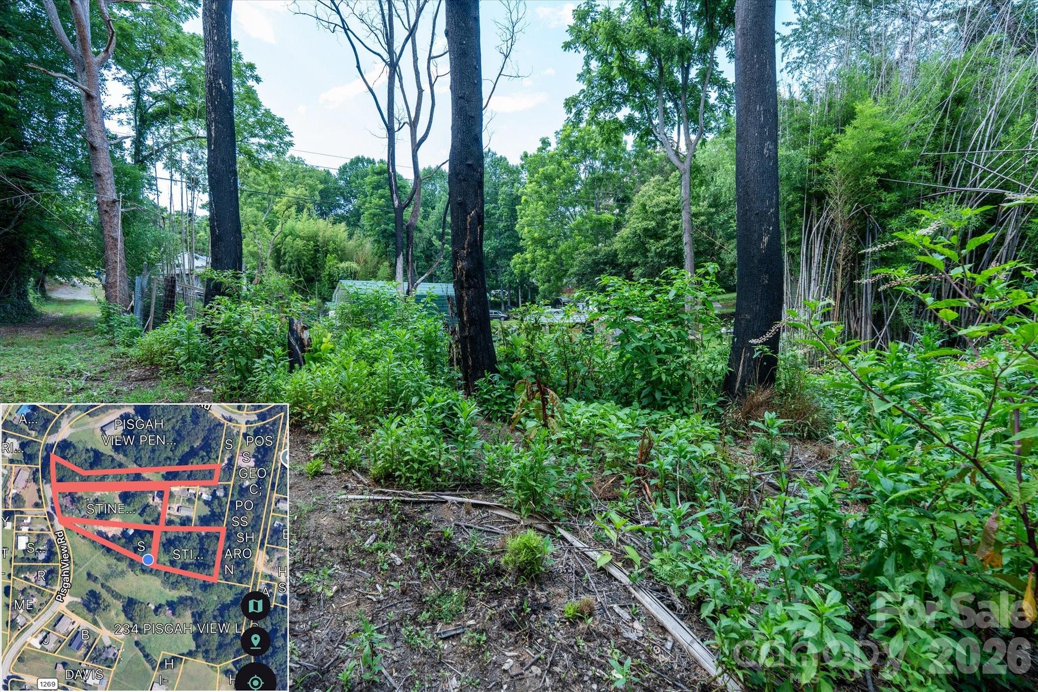 230 Pisgah View Road Property Photo 18
