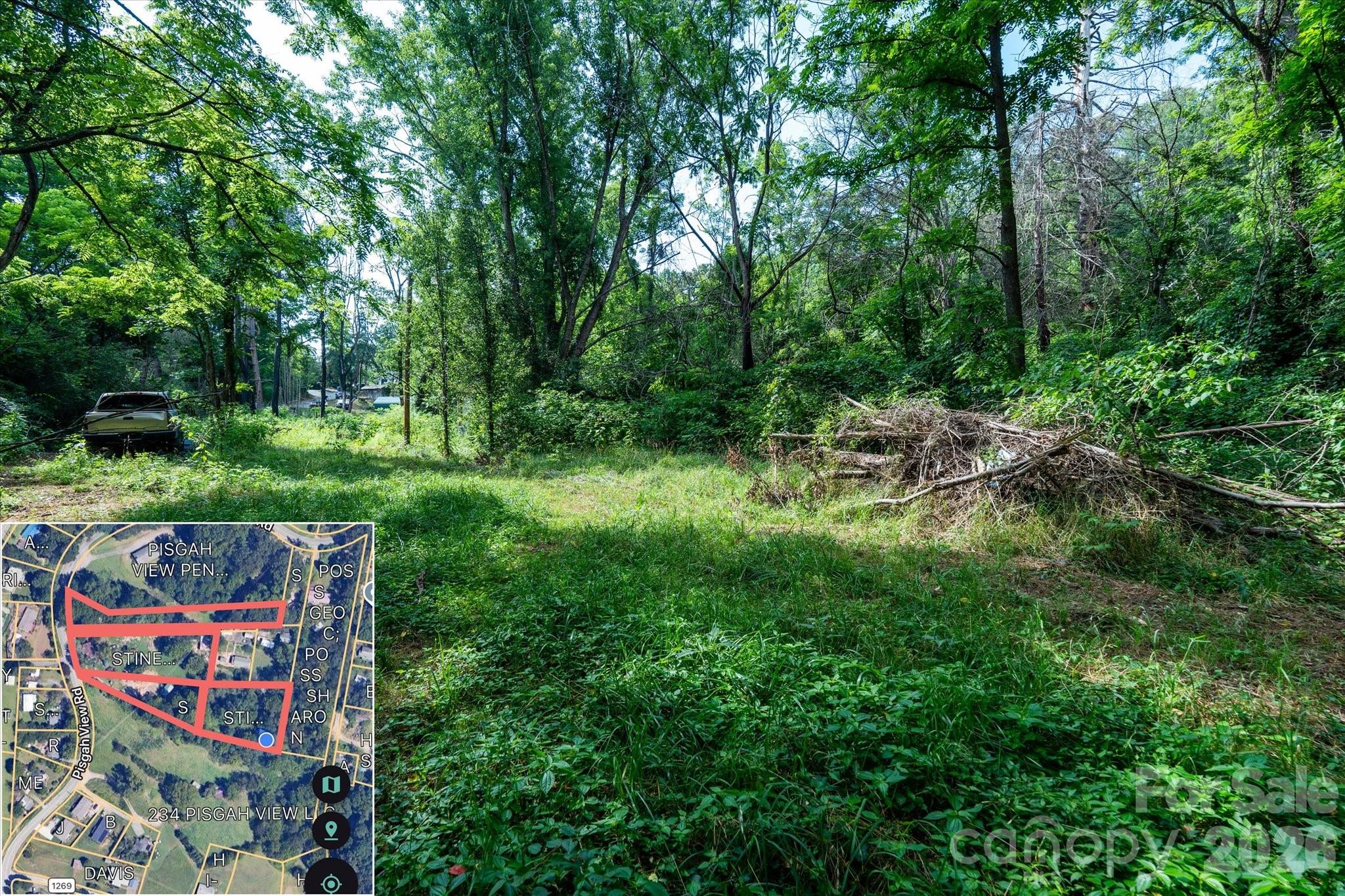 230 Pisgah View Road Property Photo 22