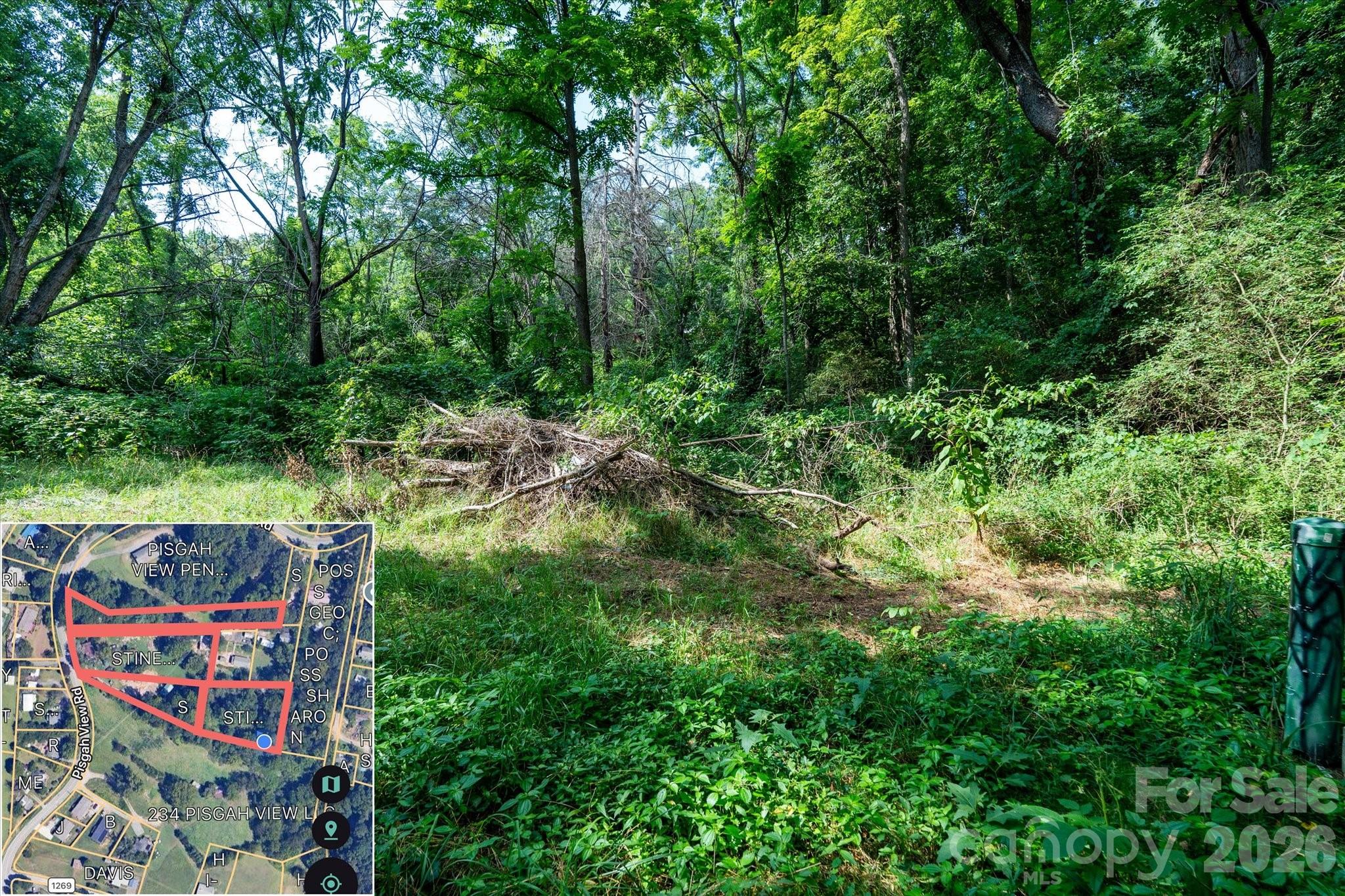 230 Pisgah View Road Property Photo 23