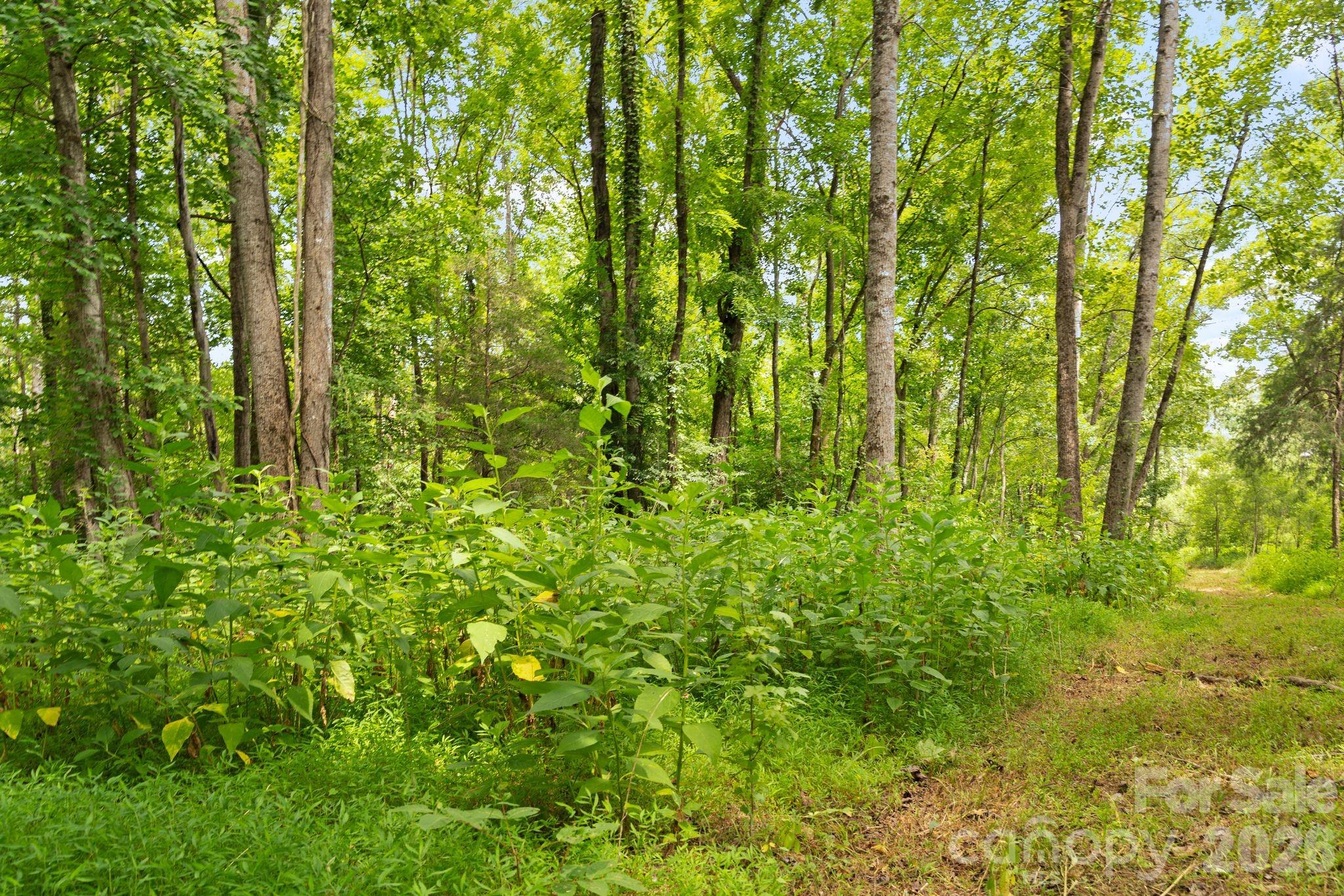 000 Blanton Road 2 Property Photo 40