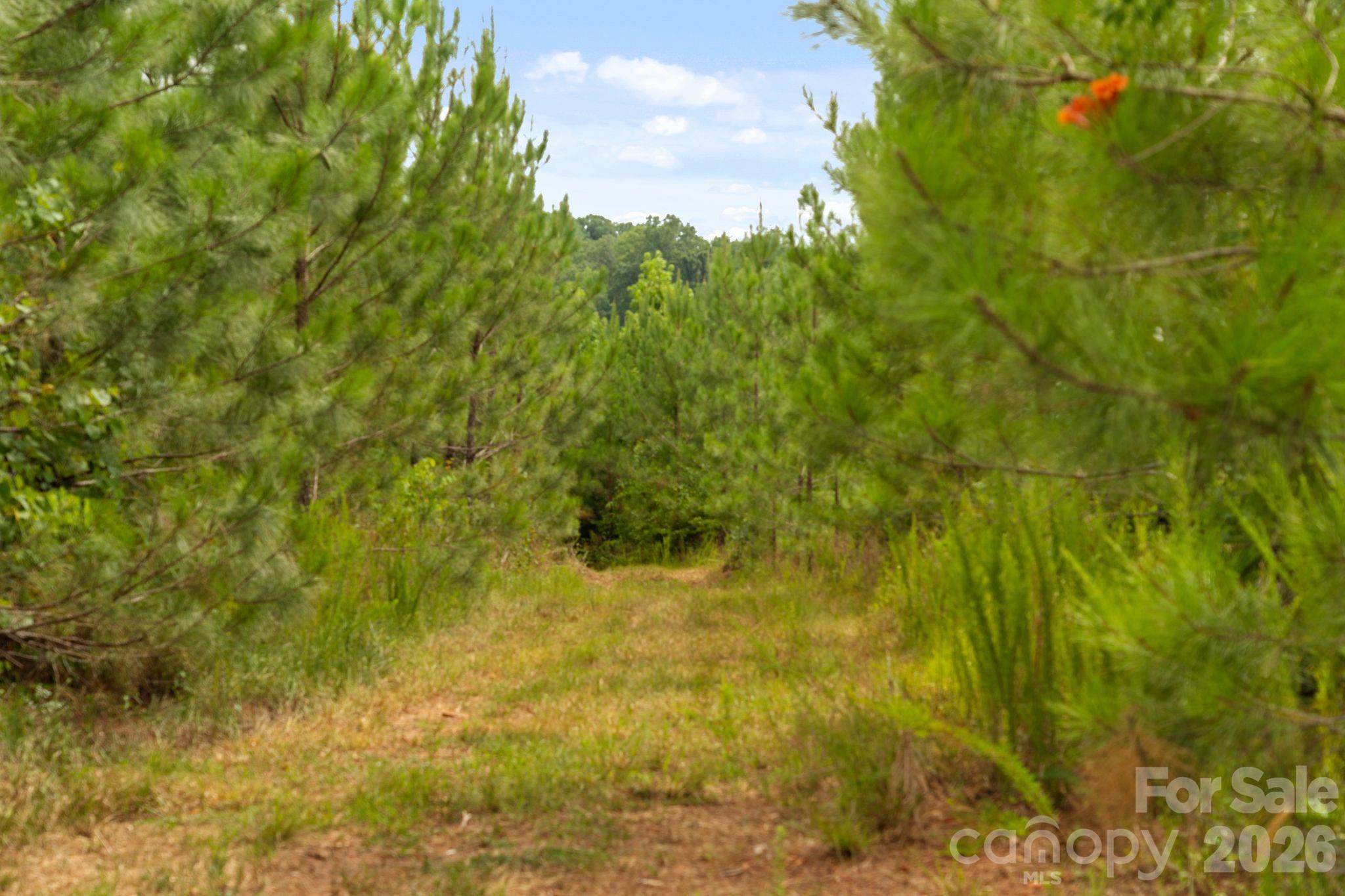 000 Blanton Road 2 Property Photo 43