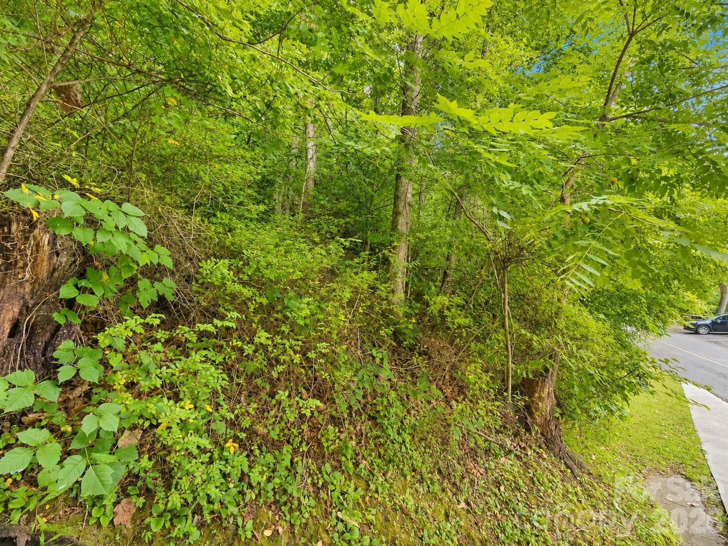 350 Mountain View Drive Property Photo 6