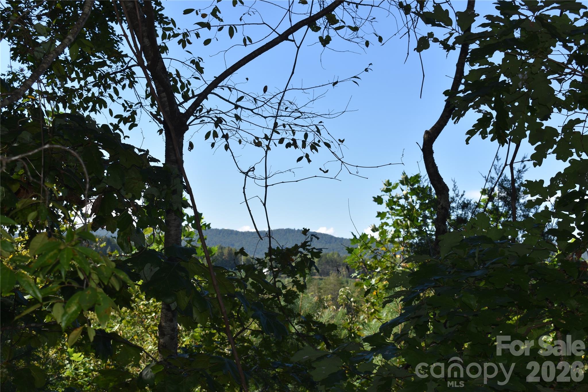 120 Woodmont Drive Property Photo 1