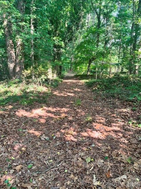 - Red Yam Farm Road Property Photo 3