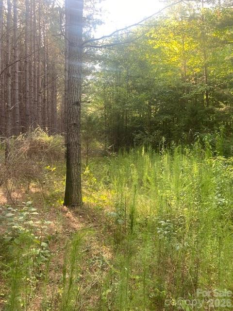 - Red Yam Farm Road Property Photo 5
