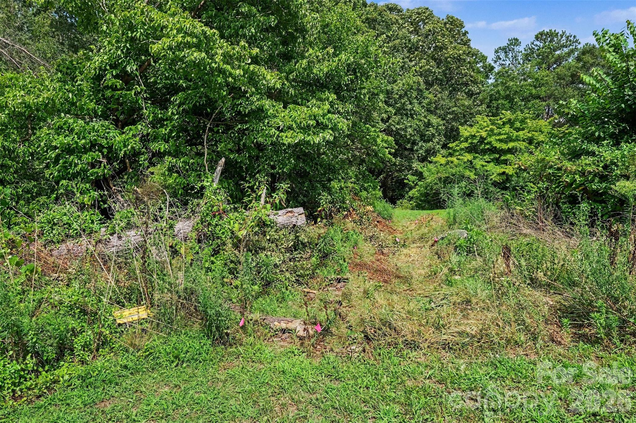 - Red Yam Farm Road Property Photo 6