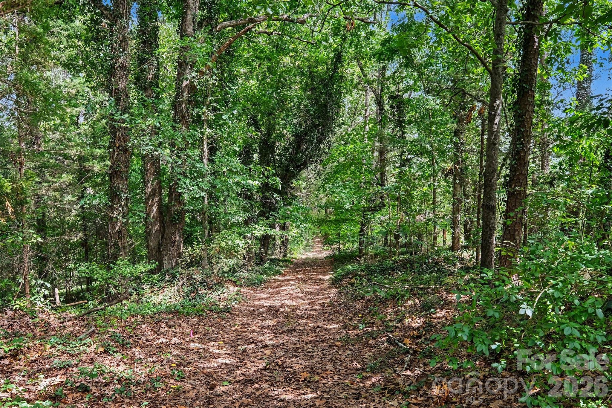 - Red Yam Farm Road Property Photo 7