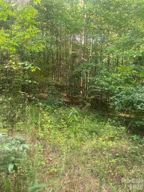 - Red Yam Farm Road Property Photo 8