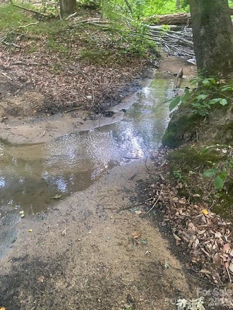 - Red Yam Farm Road Property Photo 9
