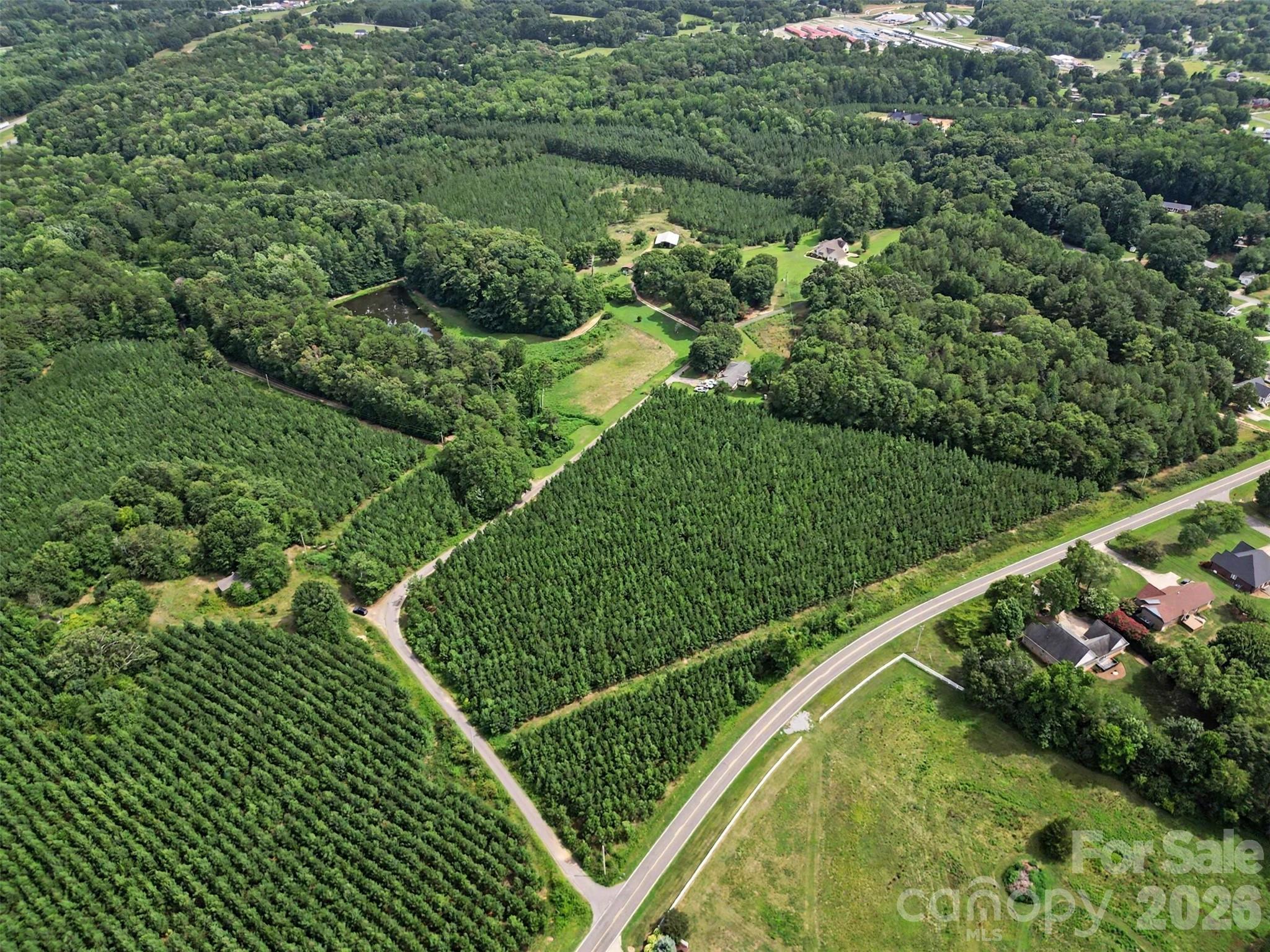- Red Yam Farm Road Property Photo 12