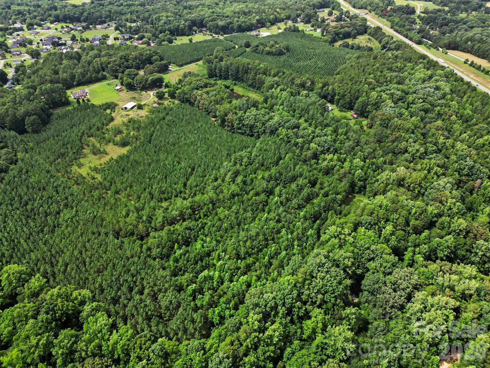 - Red Yam Farm Road Property Photo 15