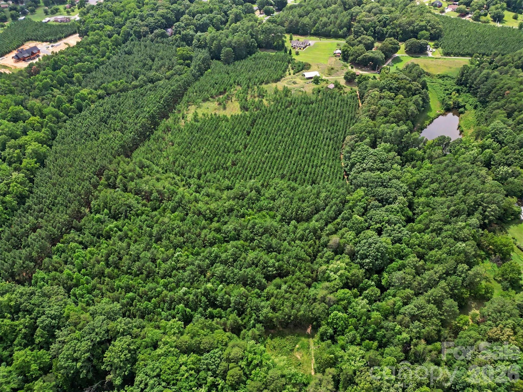 - Red Yam Farm Road Property Photo 16