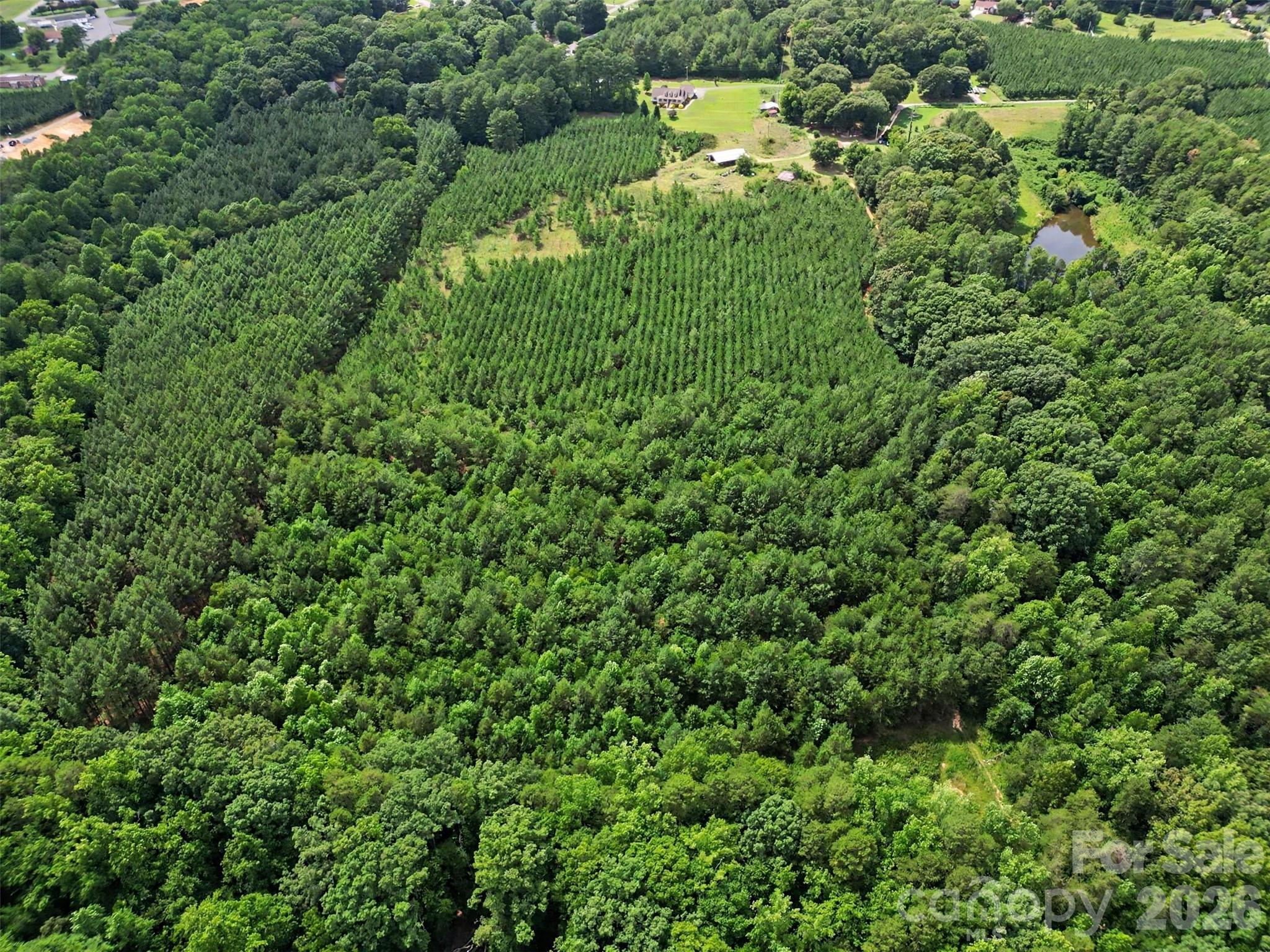 - Red Yam Farm Road Property Photo 17