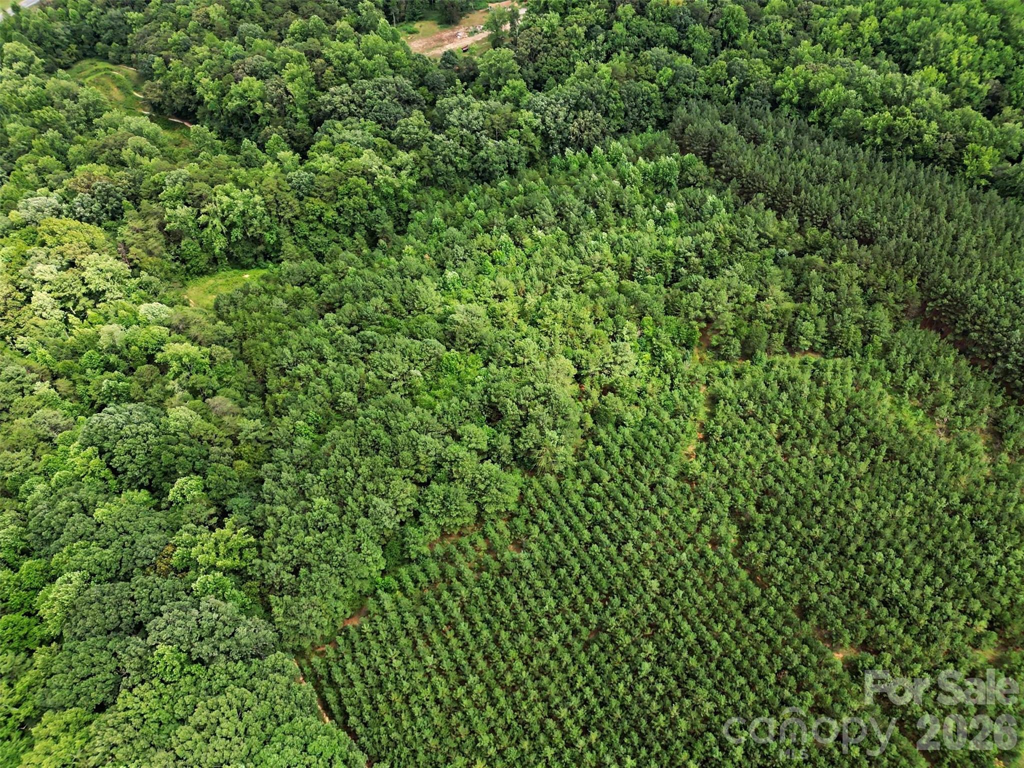 - Red Yam Farm Road Property Photo 19