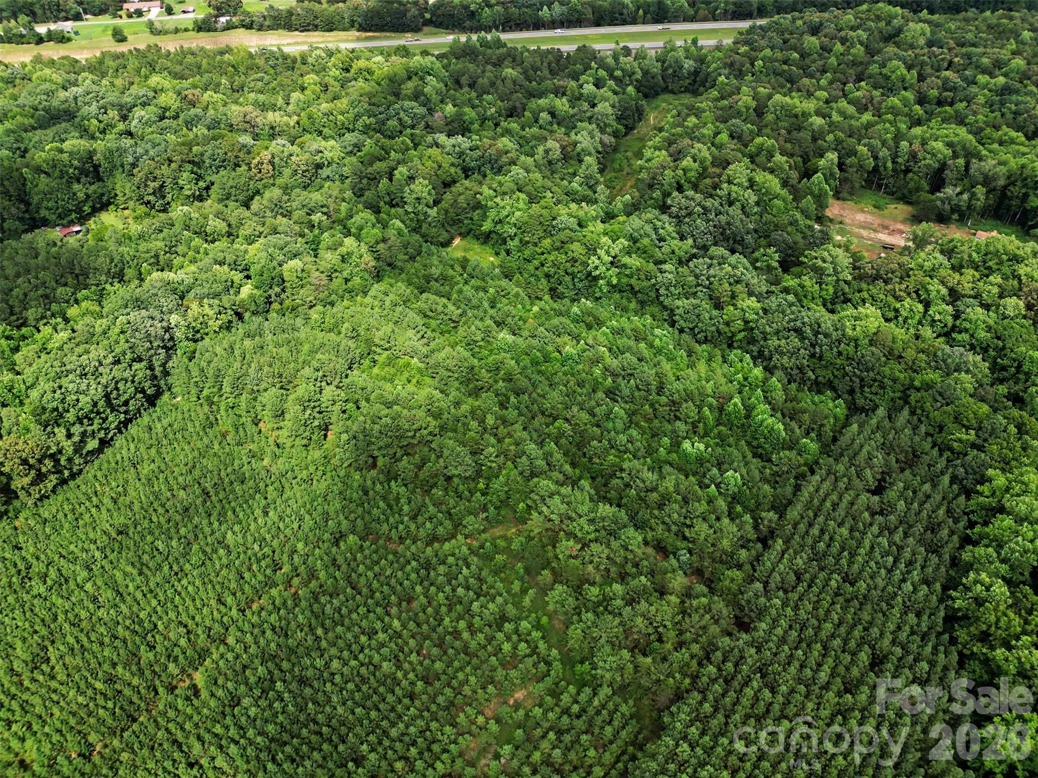 - Red Yam Farm Road Property Photo 20