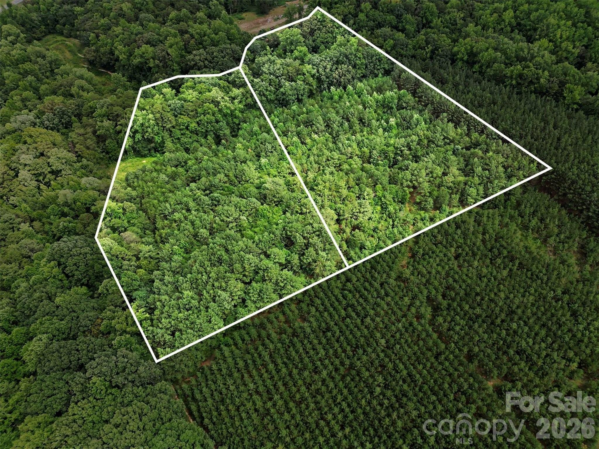 - Red Yam Farm Road Property Photo 21
