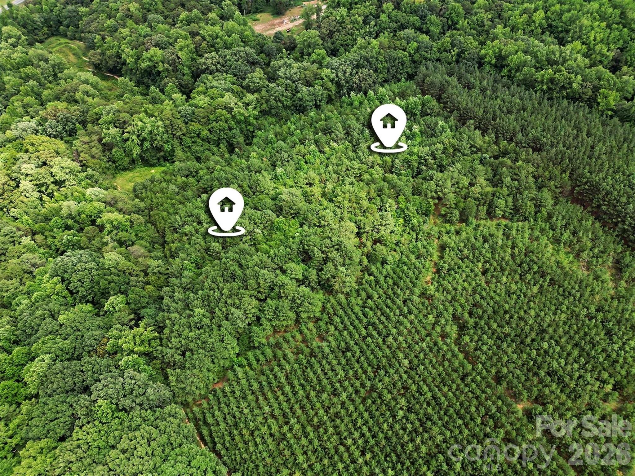 - Red Yam Farm Road Property Photo 22