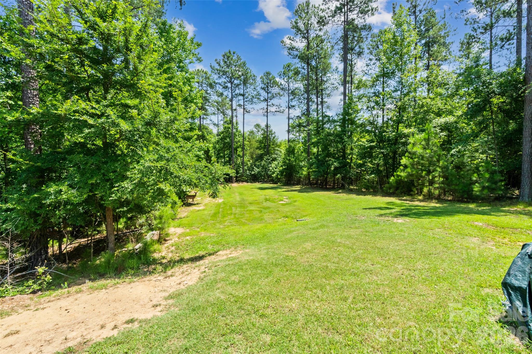 1533 Aragon Beach Road Property Photo 46