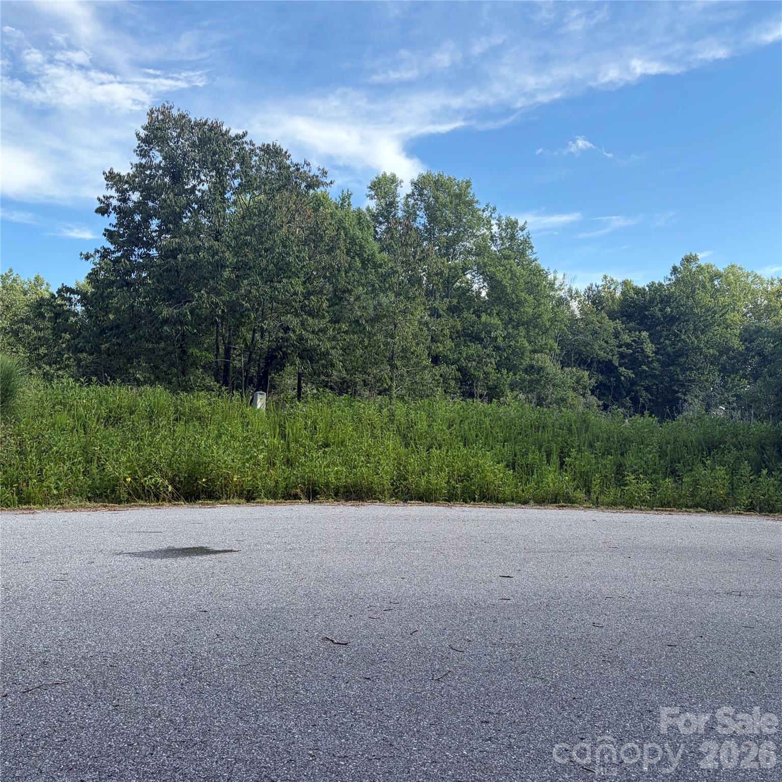 Tbd Lot #30 Ashe View Drive Property Photo 9