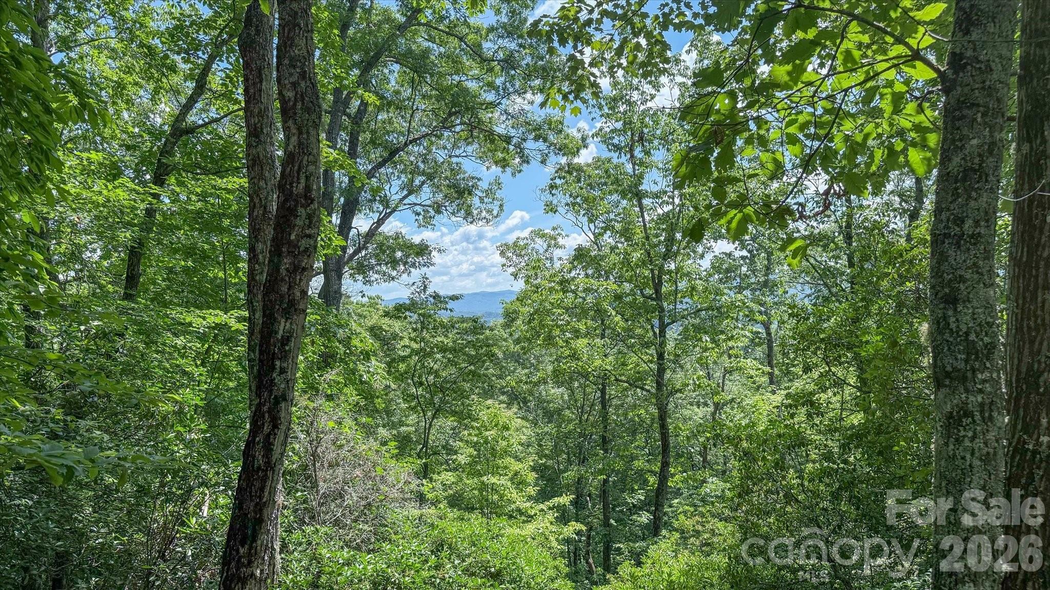 Tbd Stone Drive L40 Property Photo 1