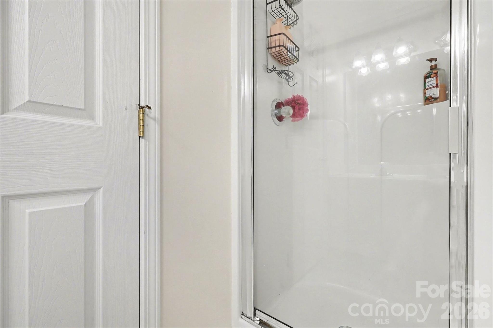 6323 Pine Hollow Drive Property Photo 25