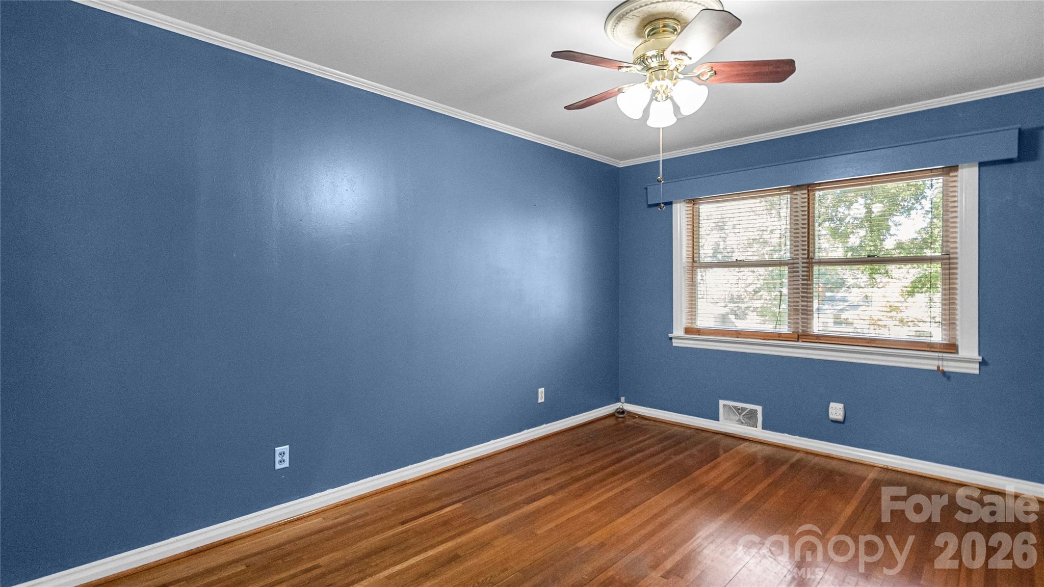 41 Elm Street Property Photo 20