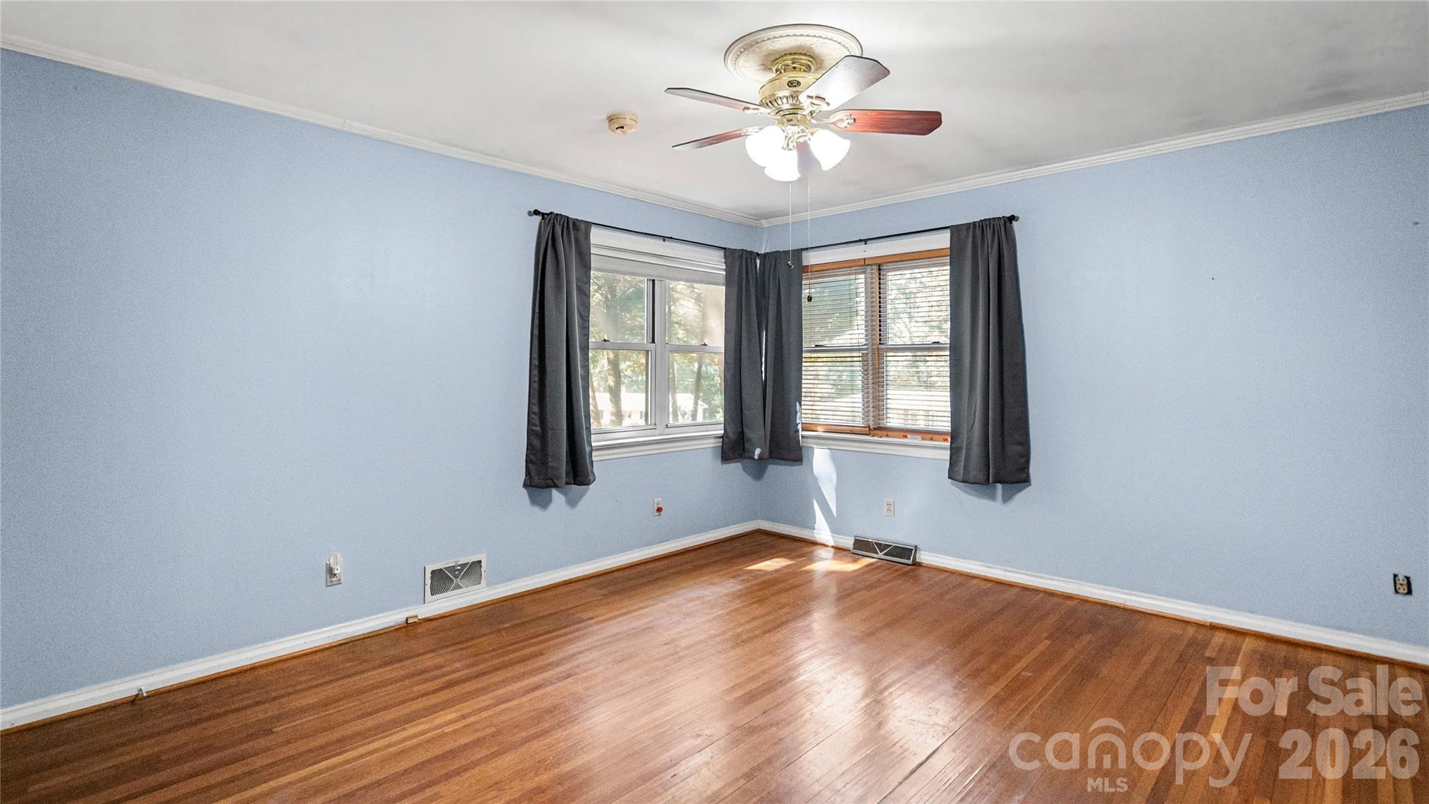 41 Elm Street Property Photo 22