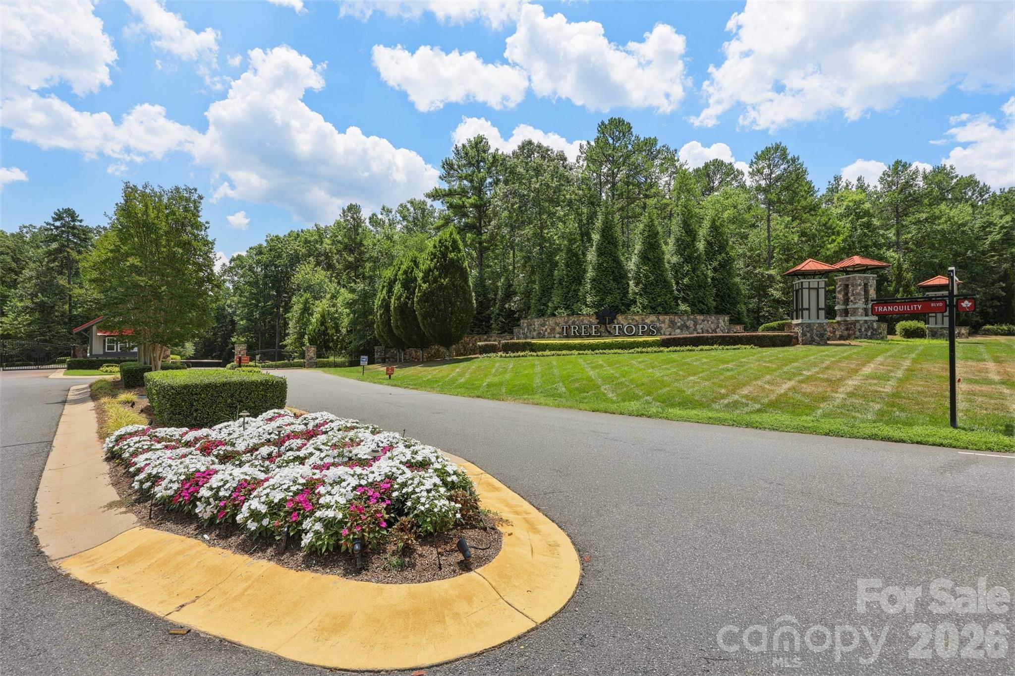 8158 Asher Chase Trail Property Photo 47