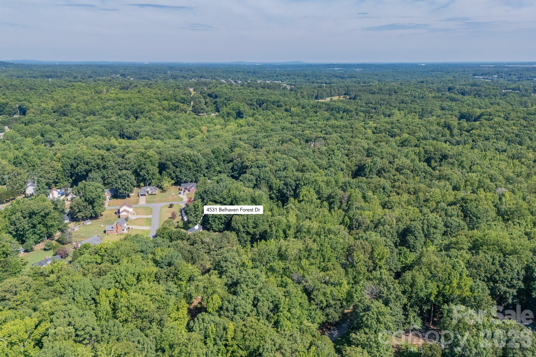 4531 Belhaven Forest Drive Property Photo 42