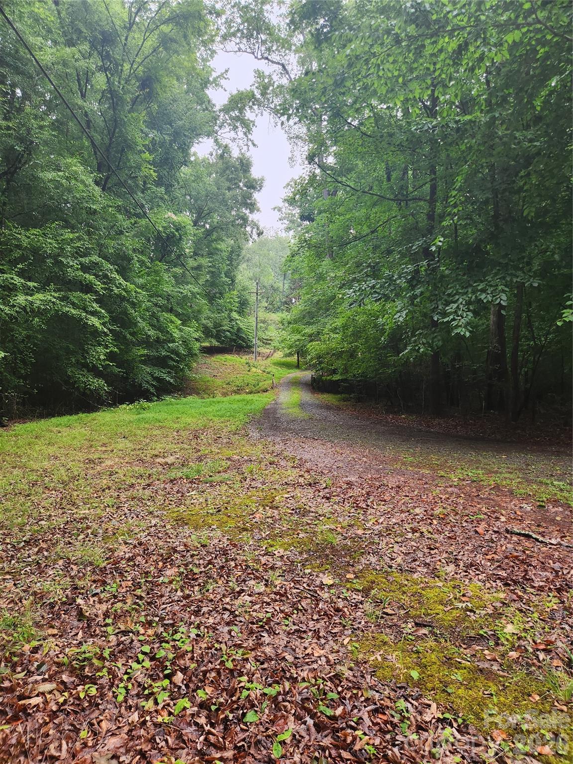 4531 Belhaven Forest Drive Property Photo 48