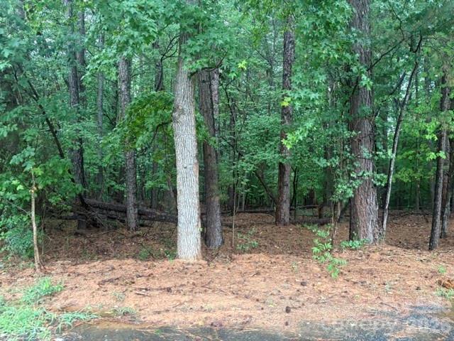 0 Golfcrest Drive Property Photo 1