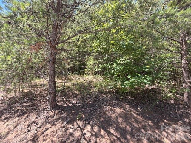 00 Sundance Drive 5-iv Property Photo 5
