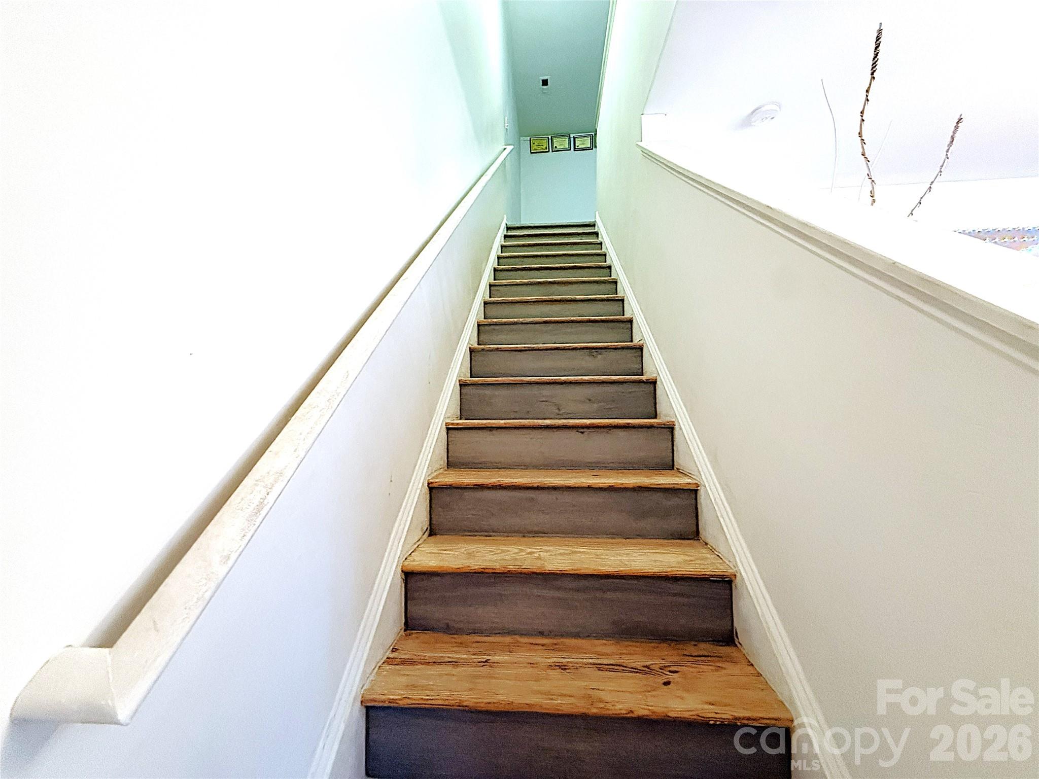 8703 Earthenware Drive Property Photo 15