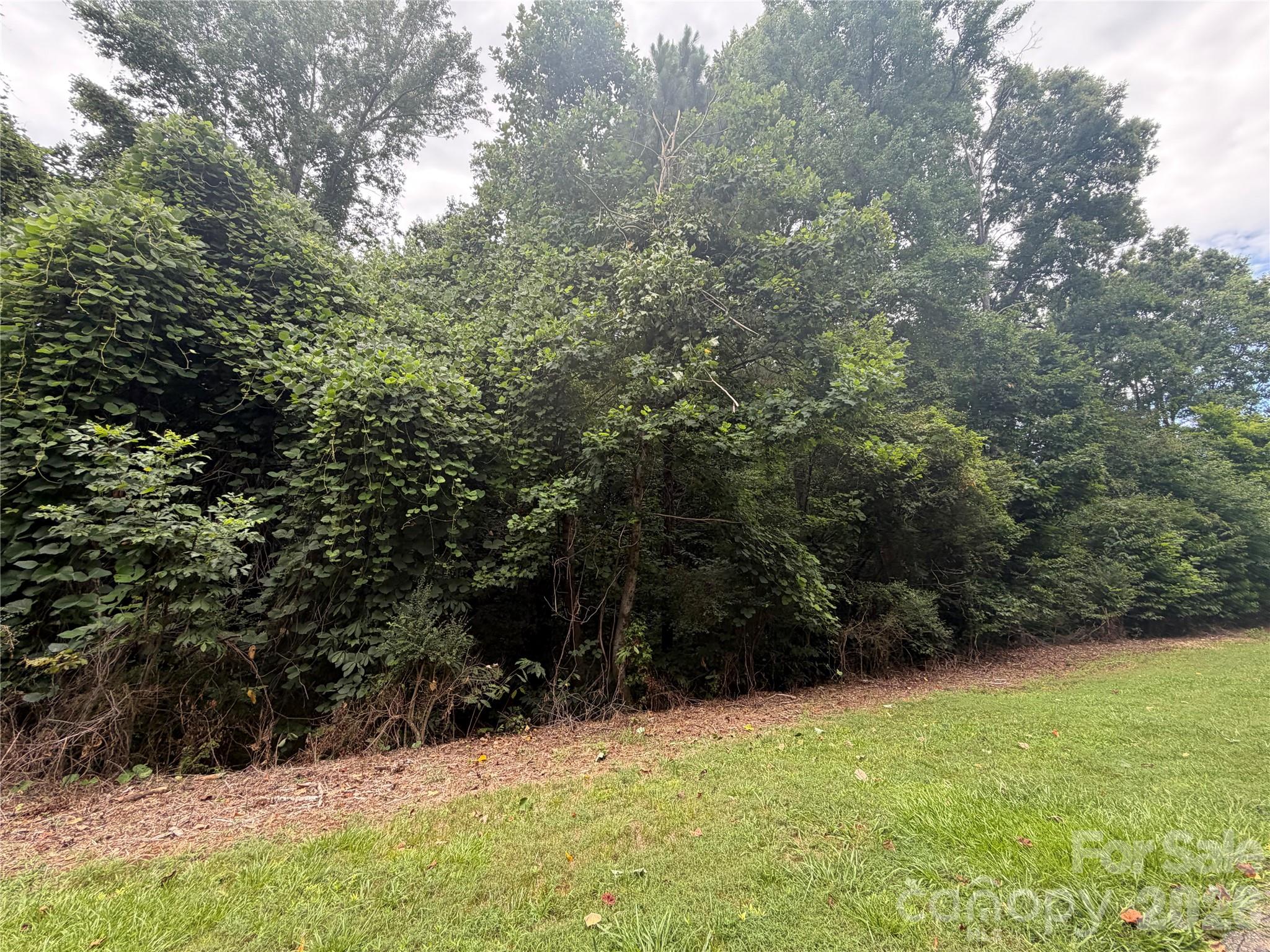 1575 Cranwell Drive Property Photo 1