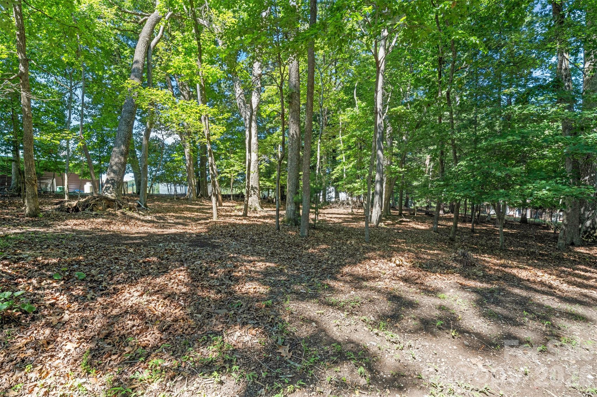 55 Overlook Drive Property Photo 34