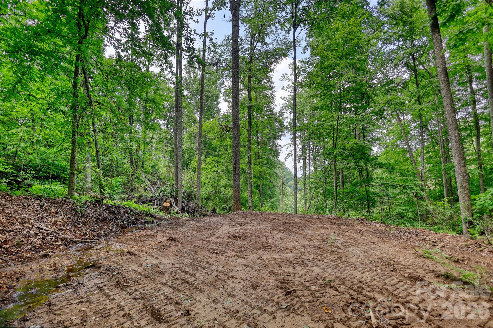 533 Enchanted Forest Drive Property Photo 2