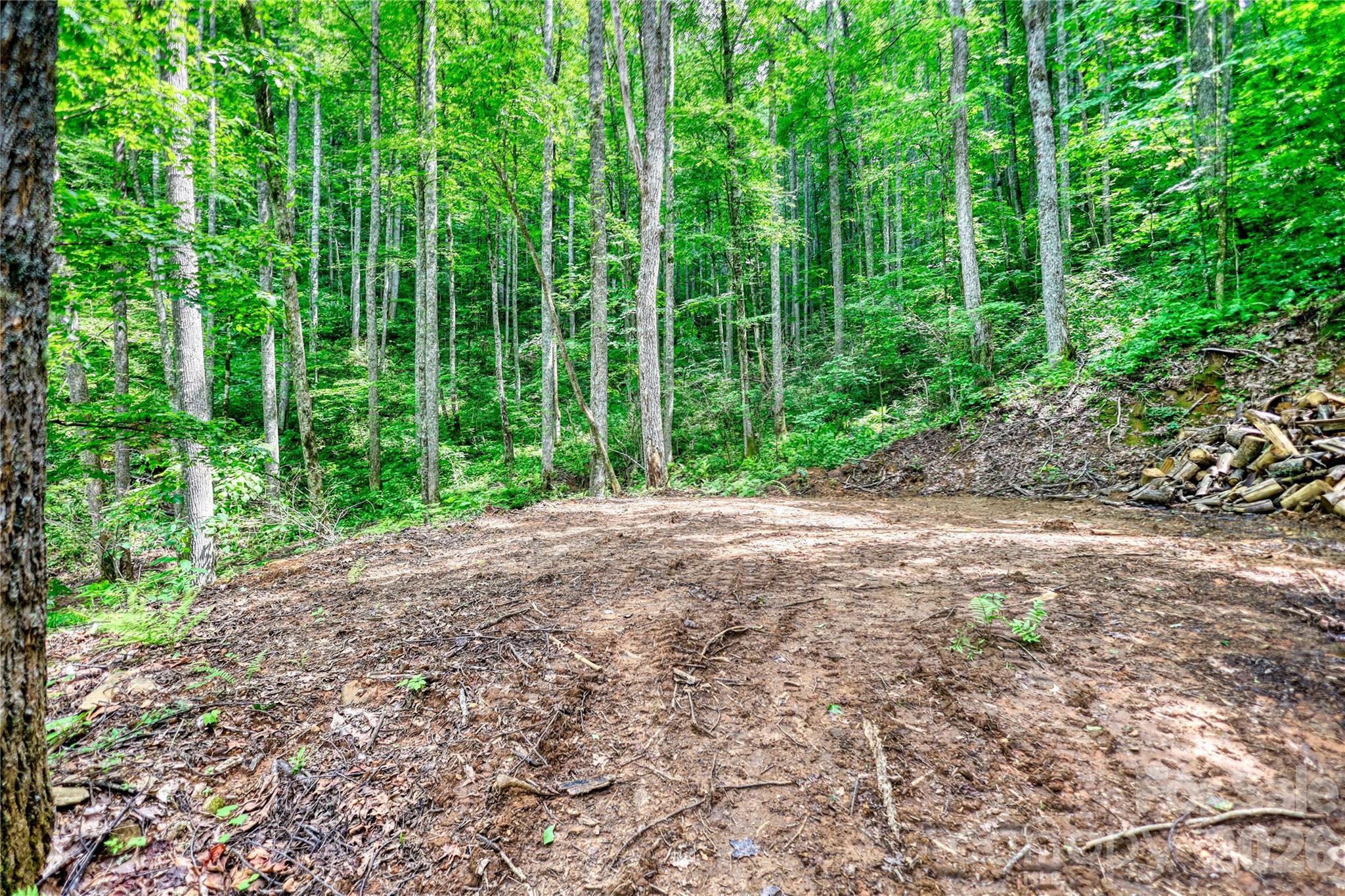 533 Enchanted Forest Drive Property Photo 4