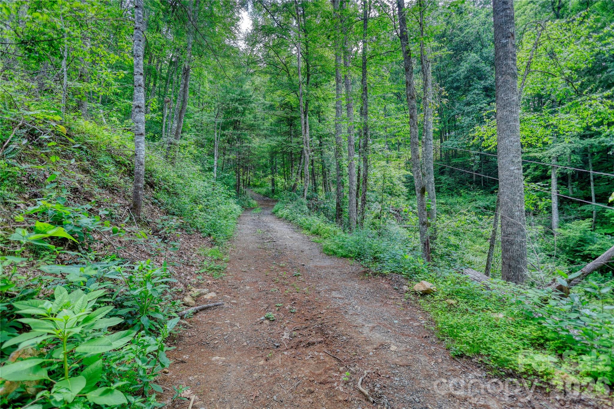 533 Enchanted Forest Drive Property Photo 6