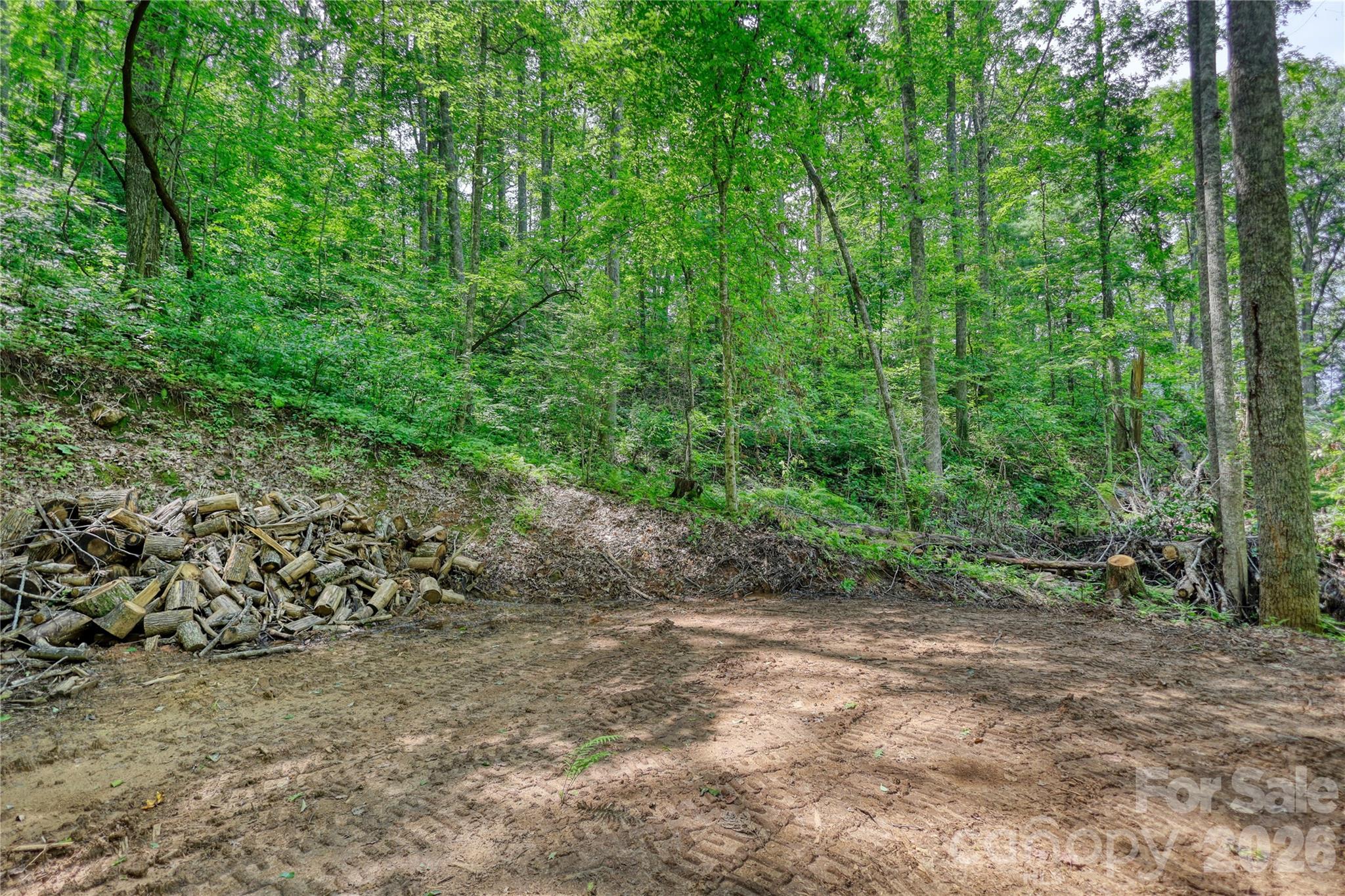 533 Enchanted Forest Drive Property Photo 7