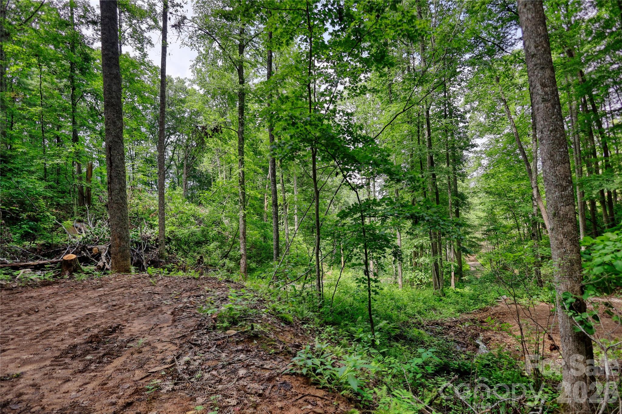 533 Enchanted Forest Drive Property Photo 8