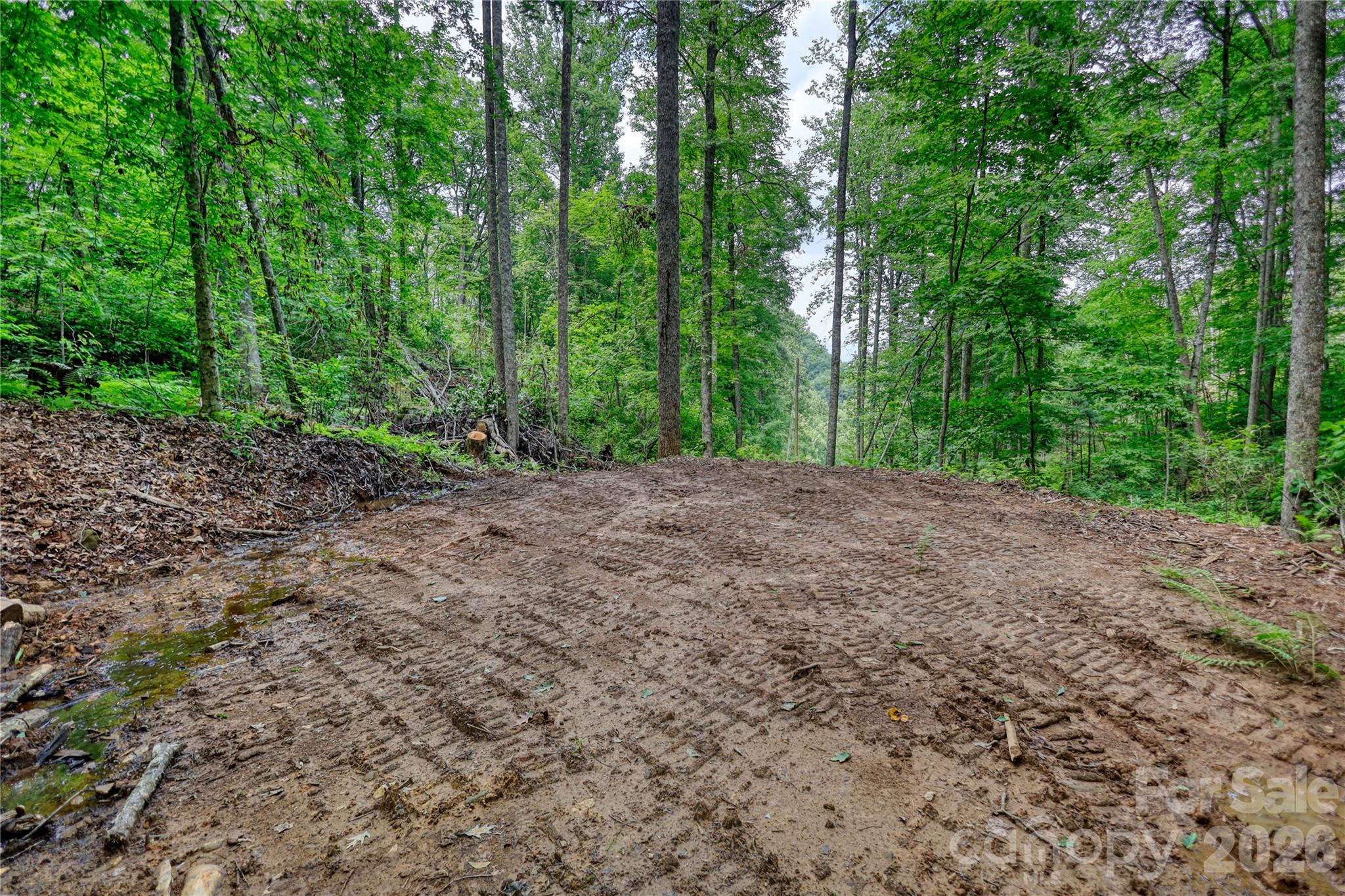 533 Enchanted Forest Drive Property Photo 9