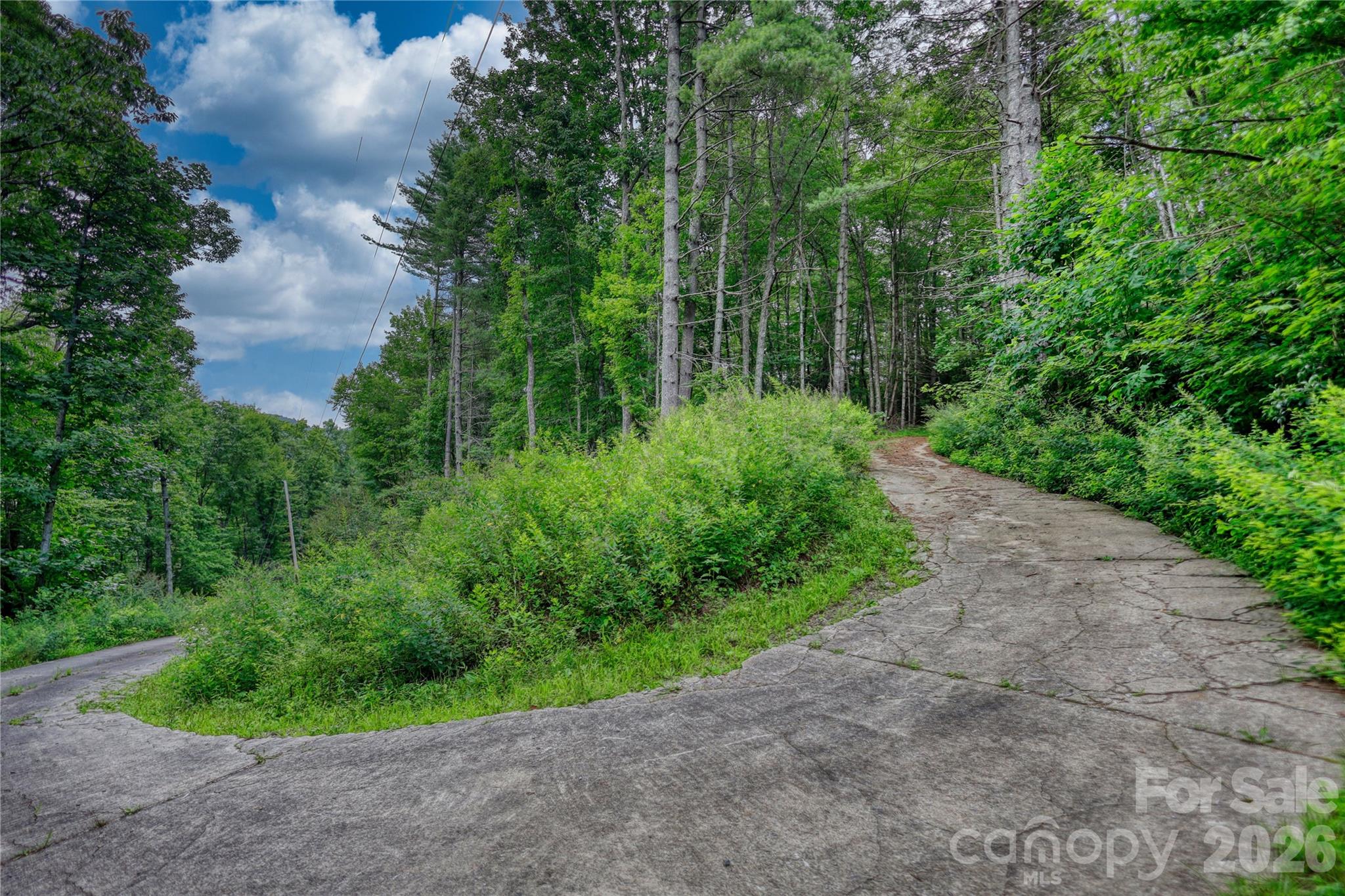 533 Enchanted Forest Drive Property Photo 10